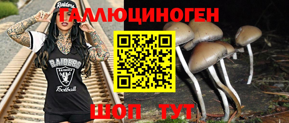 Галлюциногенные грибы GOLDEN TEACHER Корсаков